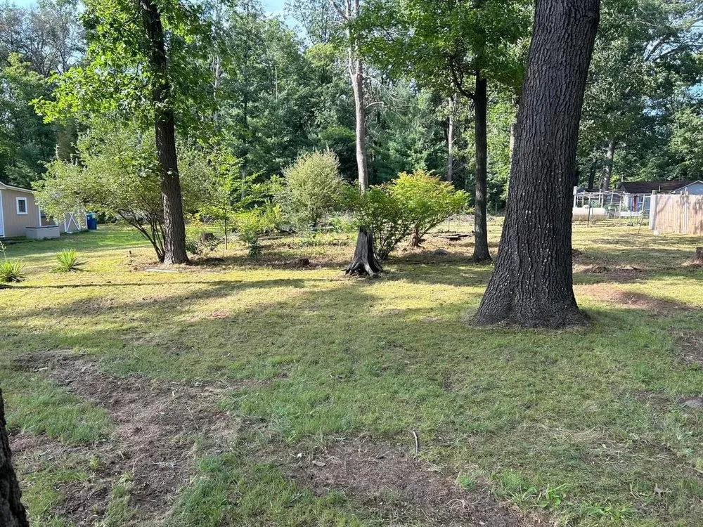 Professional landscaping services in Harrison, MI - Artsy Landscaping