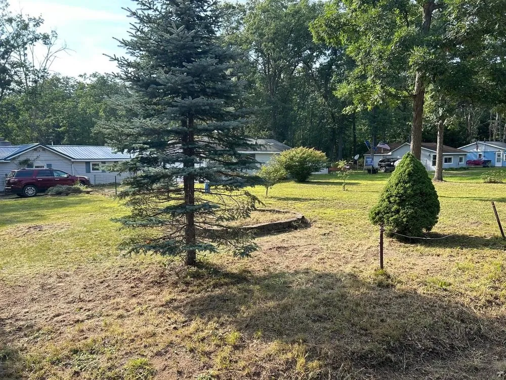 Reliable yard cleanup service for beautiful yards across Harrison, MI - Artsy Landscaping
