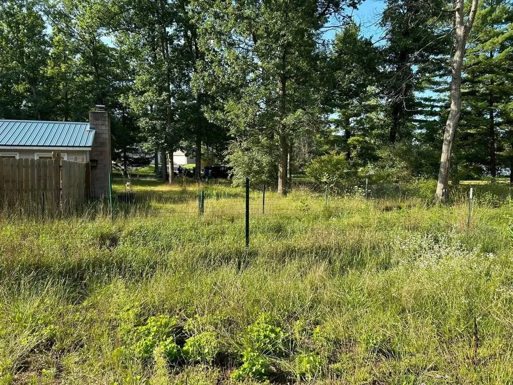 Reliable yard maintenance in Harrison, MI by Artsy Landscaping