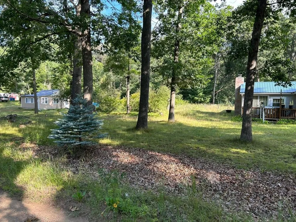 Expert yard cleanup service in Harrison, MI by Artsy Landscaping