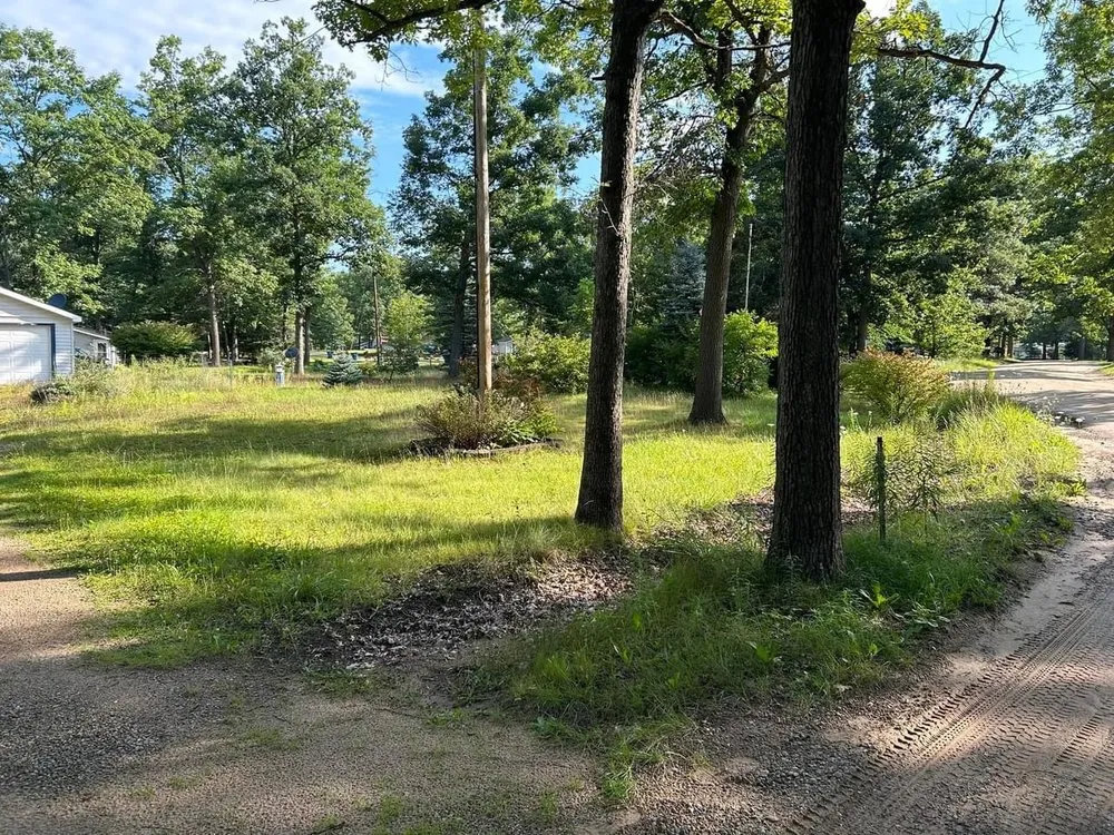 Local landscape design for year-round maintenance across Harrison, MI - Artsy Landscaping