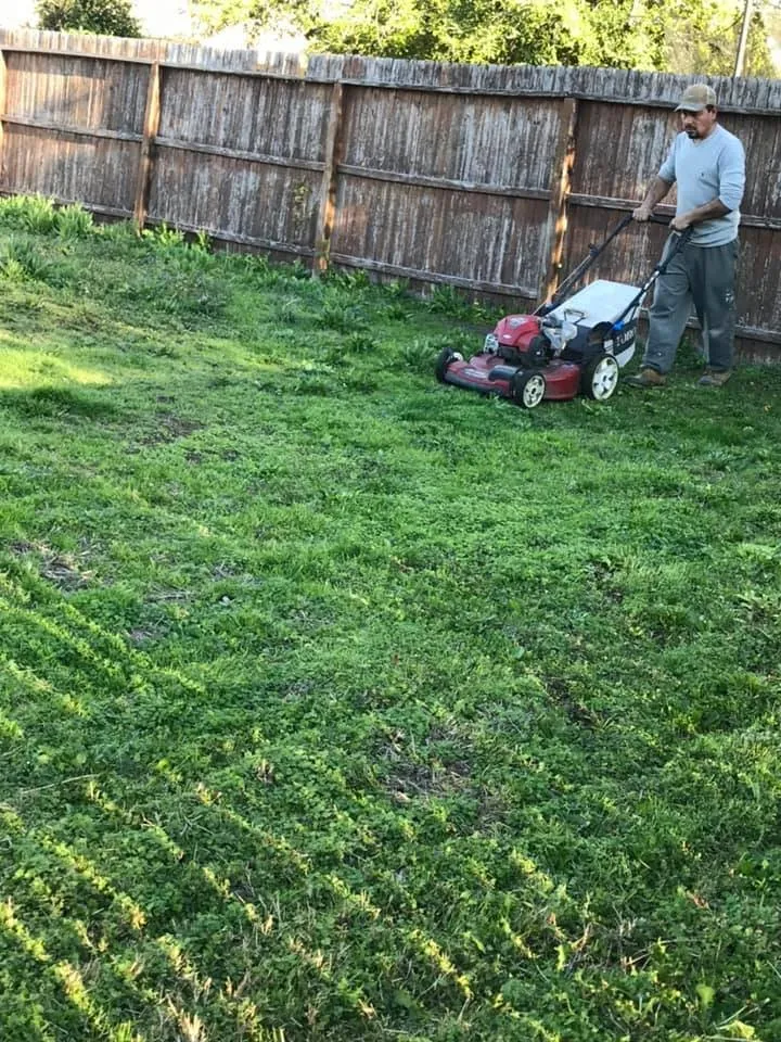 Top-rated yard cleanup service in Marion, TX by Arturo García Tree and Lawn Service