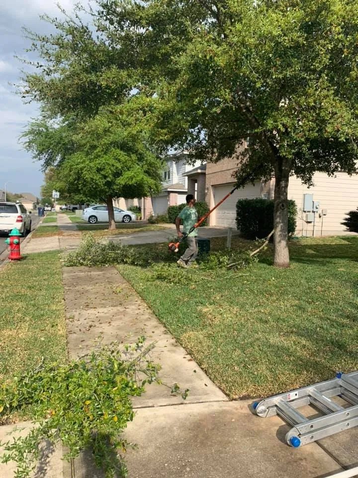 Expert yard cleanup service experts serving Marion, TX - Arturo García Tree and Lawn Service