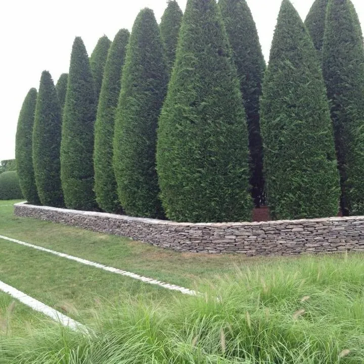 Affordable landscaping services experts serving Southampton, NY - Arturo Landscaping & Masonry