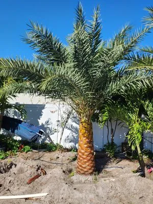 Arturo Landscaping Logo