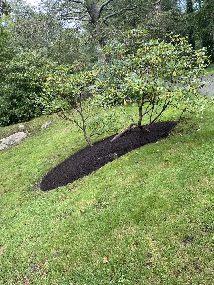 Affordable lawn mowing service experts serving Lynn, MA - Arturo Landscaping