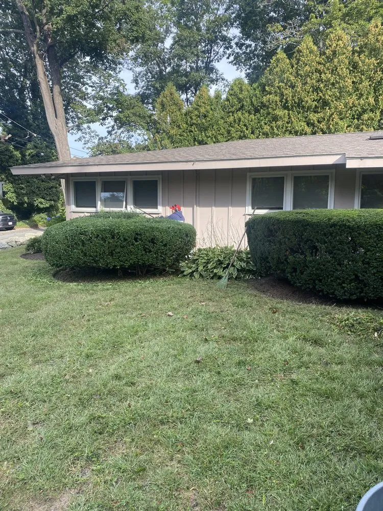 Affordable yard cleanup service in Lynn, MA by Arturo Landscaping