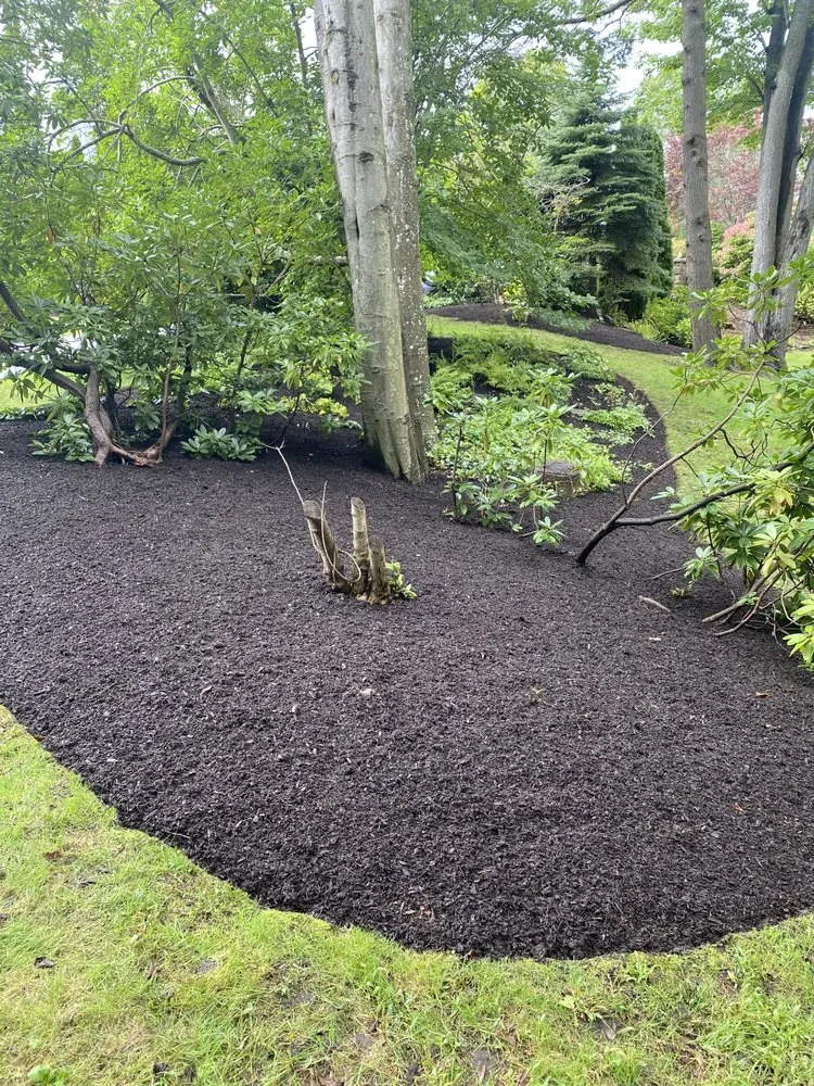 Top-rated yard maintenance for homes in Lynn, MA by Arturo Landscaping