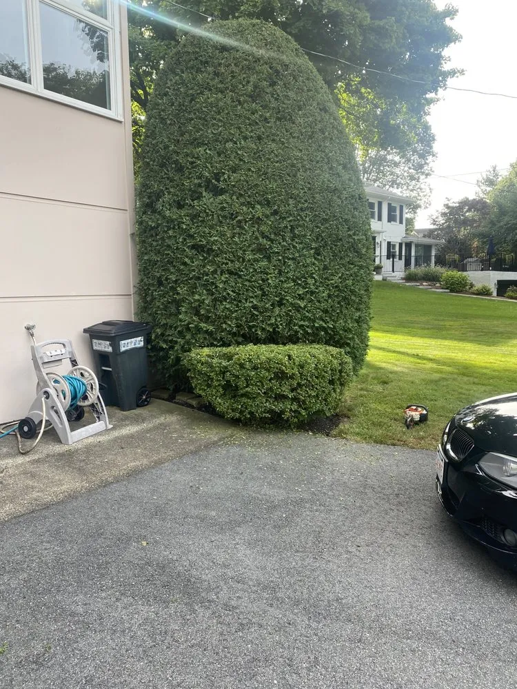 Professional yard cleanup service in Lynn, MA by Arturo Landscaping