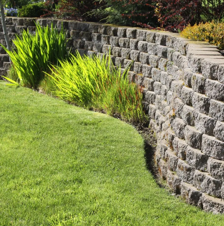 Trusted yard cleanup service in Lynn, MA - Arturo Landscaping