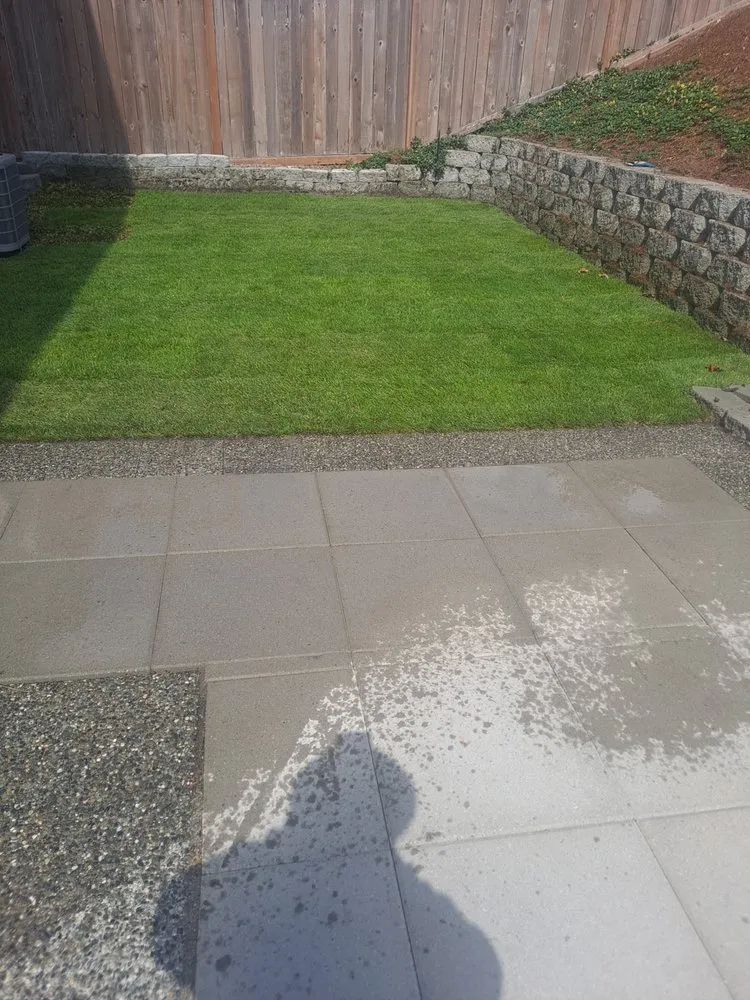Top-rated yard maintenance experts serving Bremerton, WA - Arturo MC Landscaping