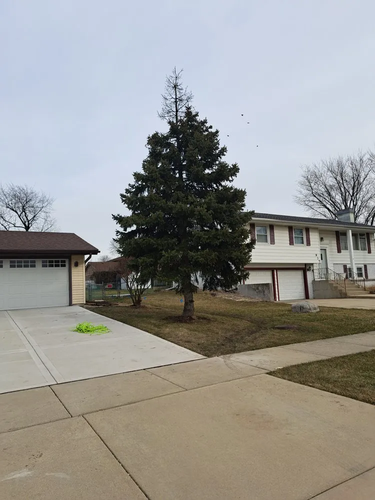 Expert garden landscaping in Mount Prospect, IL - Arturo Pulido Landscaping