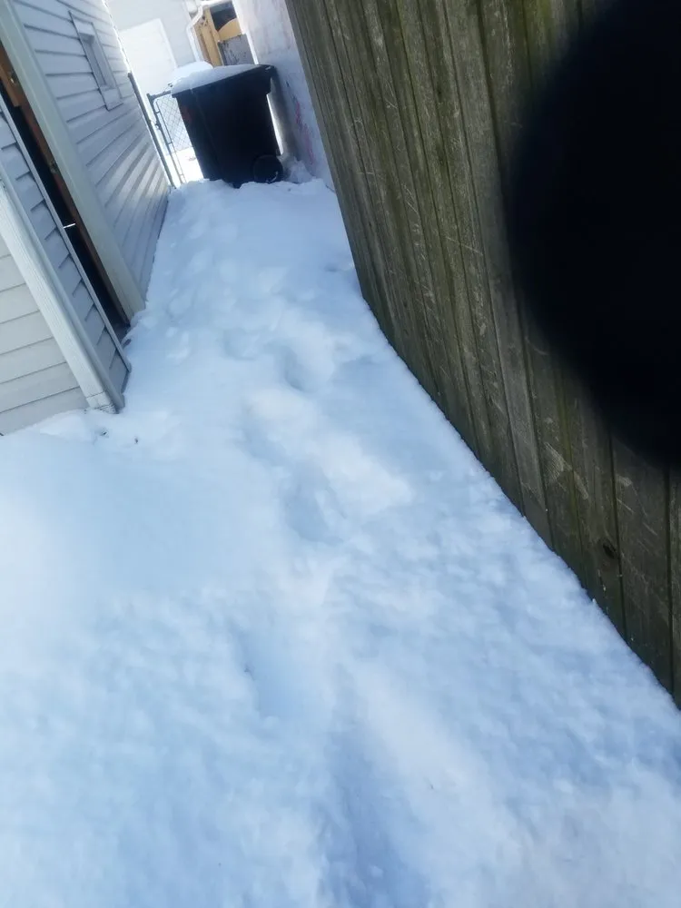 Affordable landscaping services for outdoor upgrades in Mount Prospect, IL by Arturo Pulido Landscaping