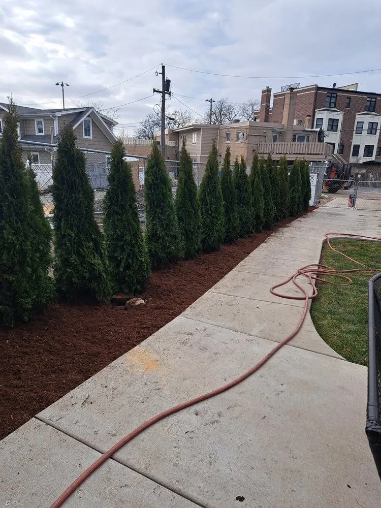 Reliable lawn mowing service in Mount Prospect, IL - Arturo Pulido Landscaping