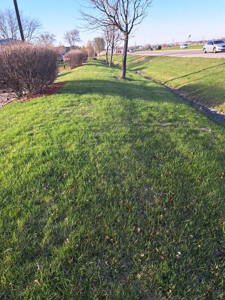 Top-rated landscape design in Mount Prospect, IL - Arturo Pulido Landscaping