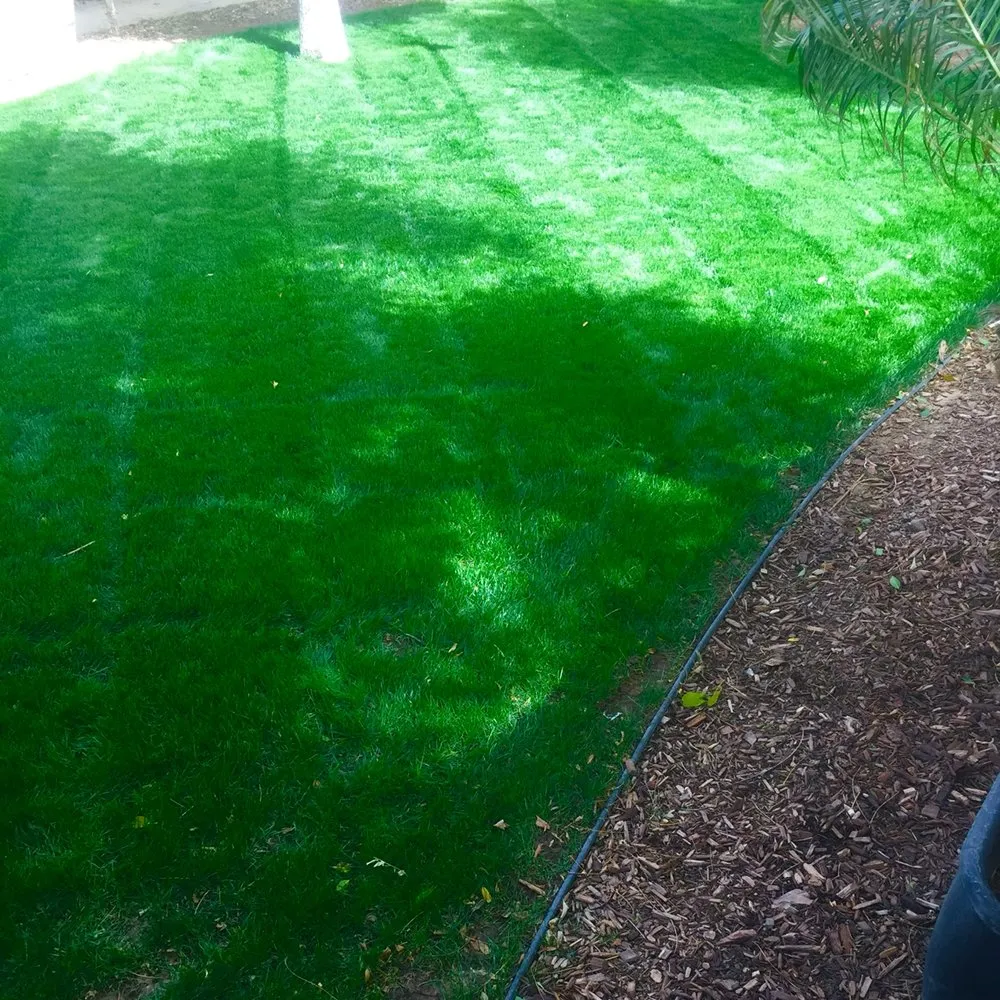 Trusted residential landscaping experts serving Yuma, AZ - Arturo's Artistic Landscaping