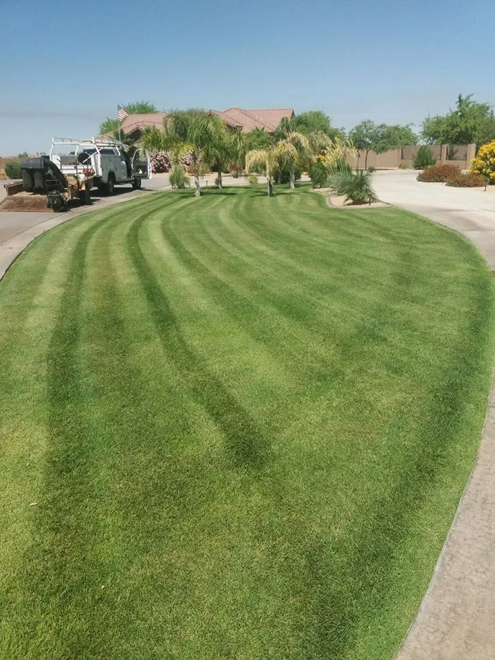 Reliable garden landscaping for year-round maintenance across Yuma, AZ - Arturo's Artistic Landscaping