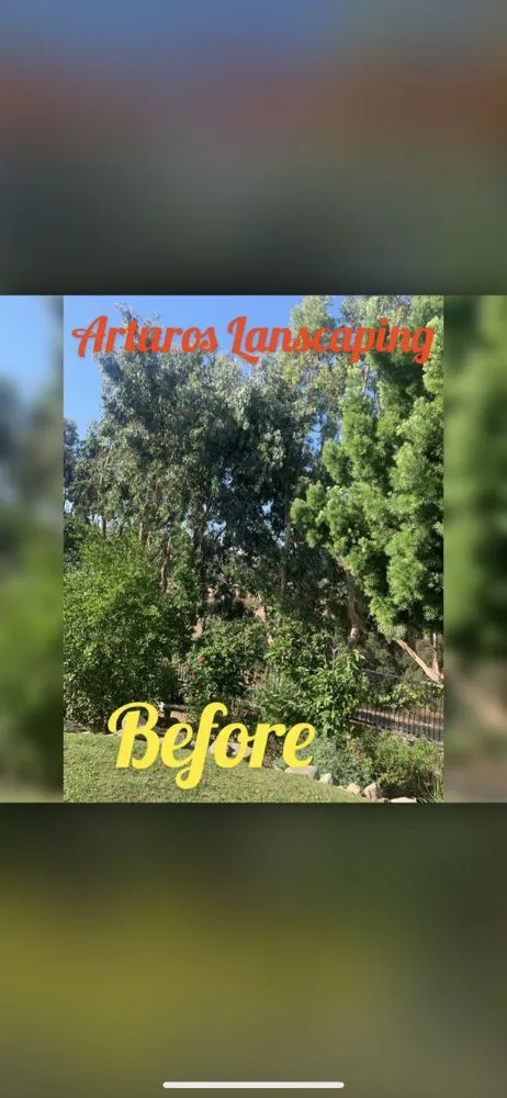 Top-rated landscaping services in City of Industry, CA by Arturos Landscaping and Gardening