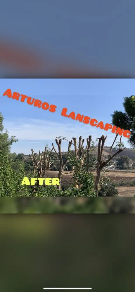 Trusted residential landscaping experts serving City of Industry, CA - Arturos Landscaping and Gardening