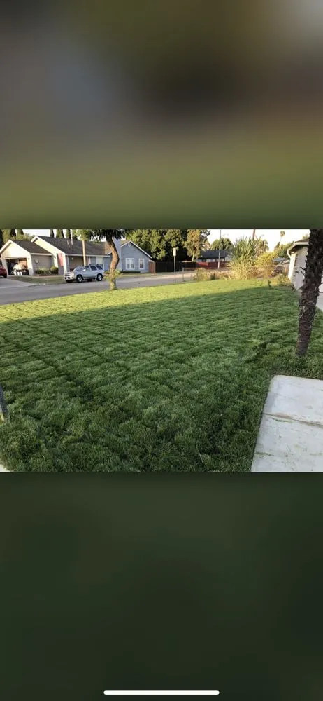 Expert yard cleanup service in City of Industry, CA - Arturos Landscaping and Gardening