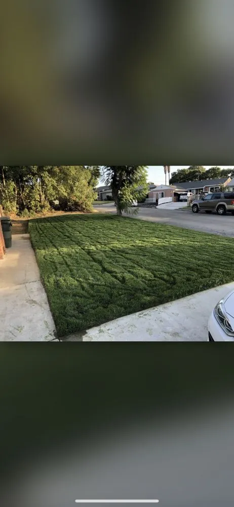 Affordable lawn mowing service experts serving City of Industry, CA - Arturos Landscaping and Gardening