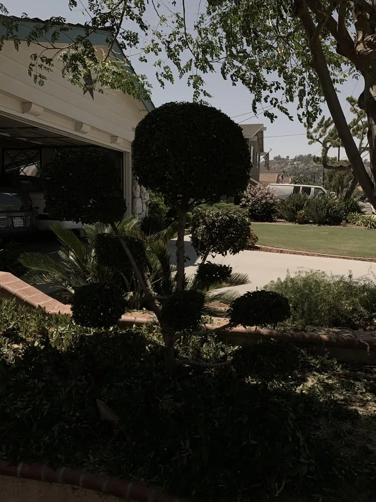 Top-rated landscape installation experts serving Industry, CA - Arturos Landscaping
