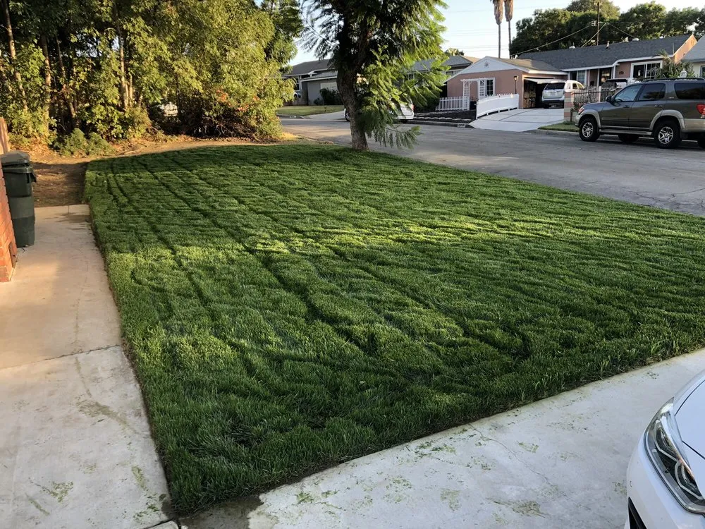 Expert yard cleanup service for year-round maintenance across Industry, CA - Arturos Landscaping