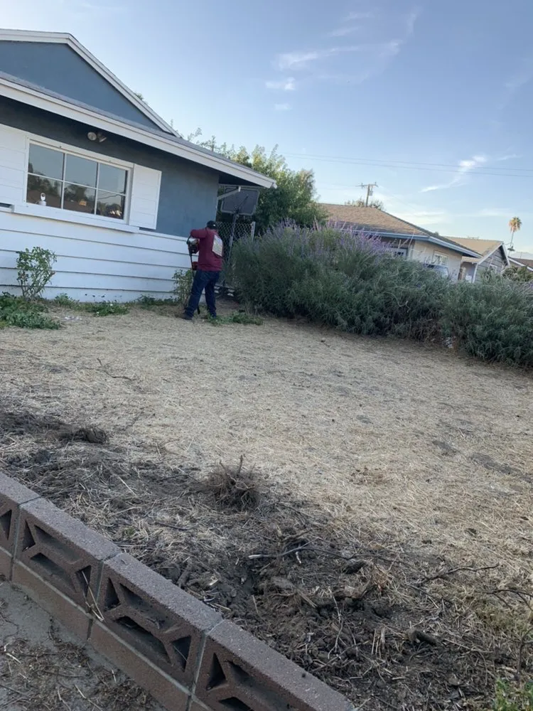Affordable landscape installation for homes in Industry, CA by Arturos Landscaping