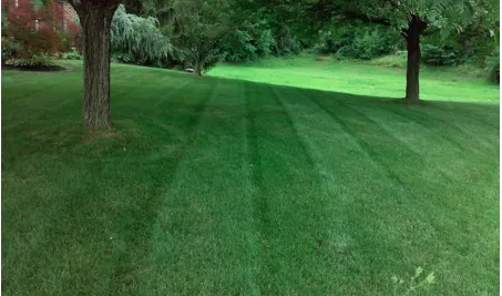 Custom lawn mowing service experts serving Industry, CA - Arturos Landscaping
