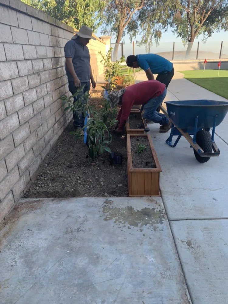 Trusted landscaping services in Industry, CA by Arturos Landscaping