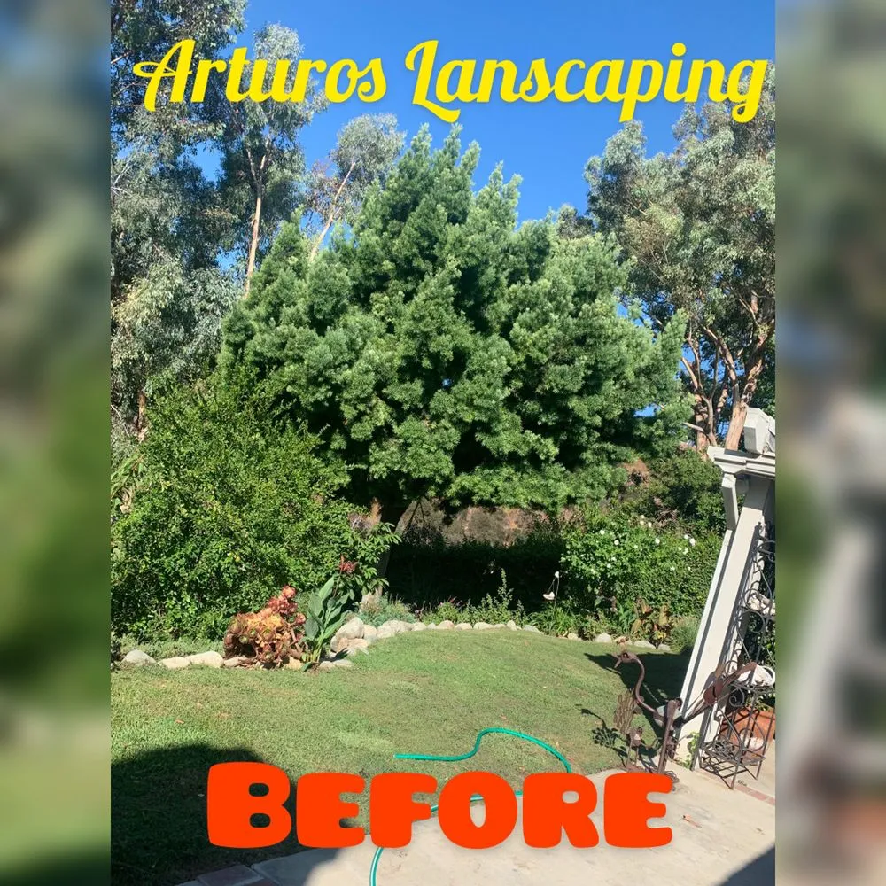Expert residential landscaping in Industry, CA - Arturos Landscaping