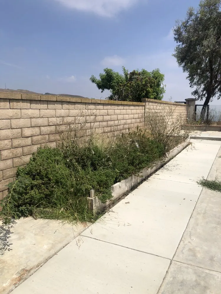 Reliable landscape design in Industry, CA - Arturos Landscaping