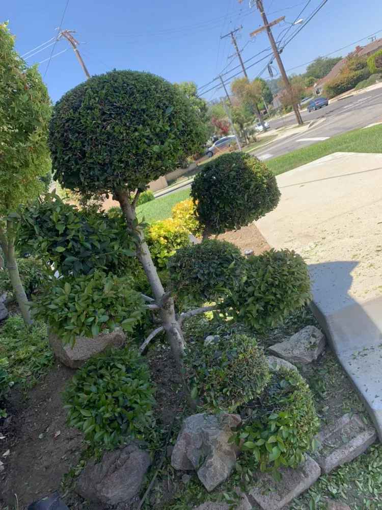 Reliable garden landscaping in Industry, CA by Arturos Landscaping
