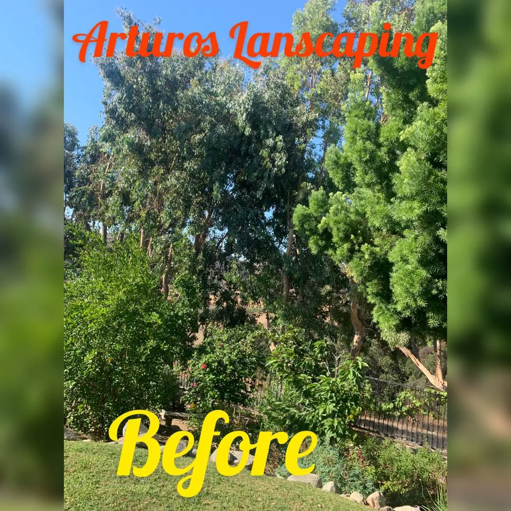 Trusted residential landscaping for year-round maintenance across Industry, CA - Arturos Landscaping