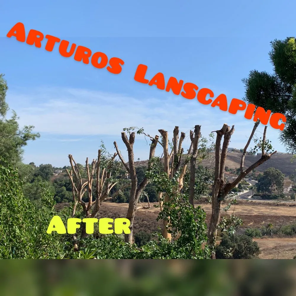 Trusted garden landscaping for homes in Industry, CA by Arturos Landscaping