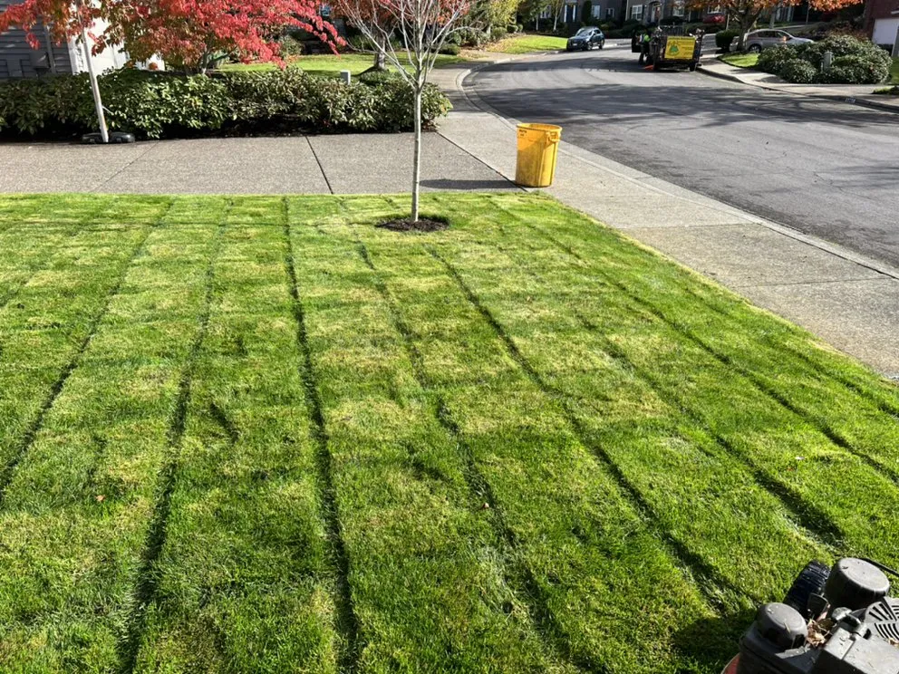 Custom landscape installation in Vancouver, WA - Arturo’s Lawn And Care