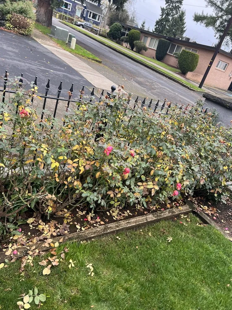 Top-rated residential landscaping for outdoor upgrades across Vancouver, WA - Arturo’s Lawn And Care