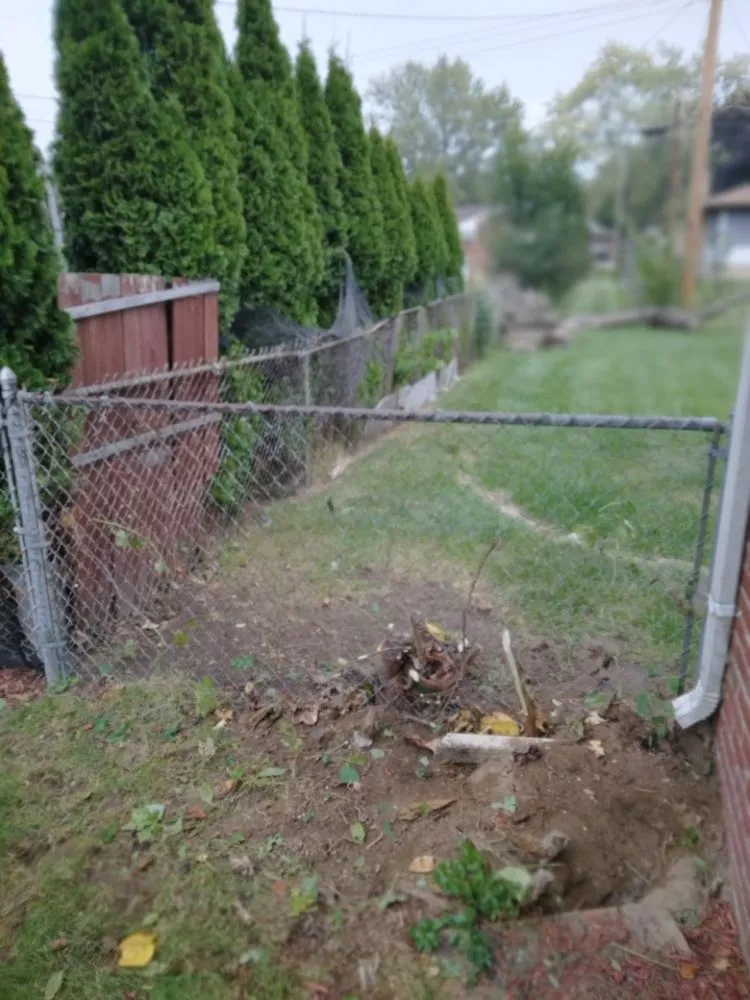 Affordable lawn mowing service for beautiful yards in Redford Charter Township, MI by Artwork at work Construction Services