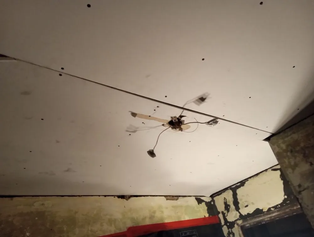 Local lawn care service near you in Redford Charter Township, MI by Artwork at work Construction Services