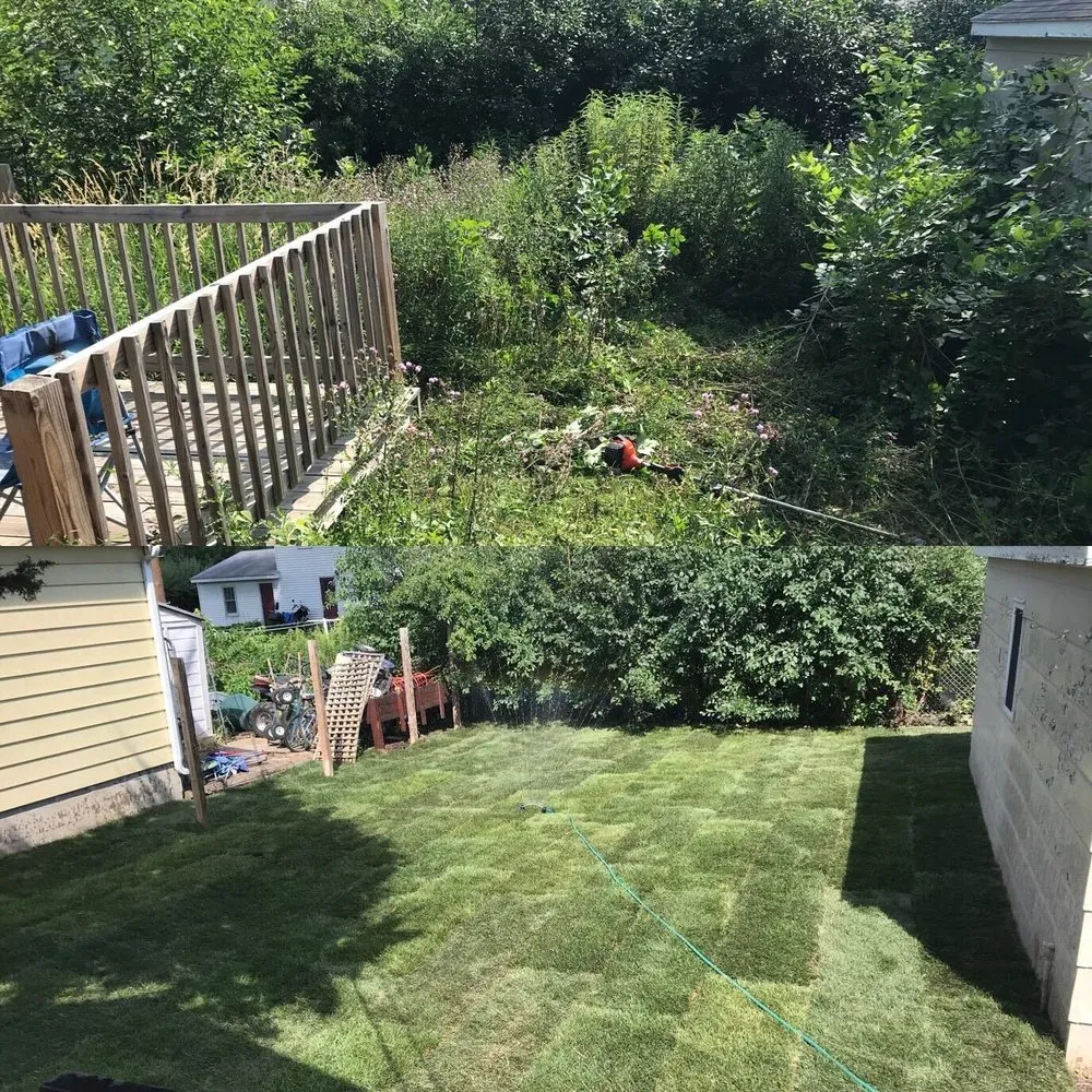 Top-rated lawn care service in Manor, TX by Arty's Landscaping