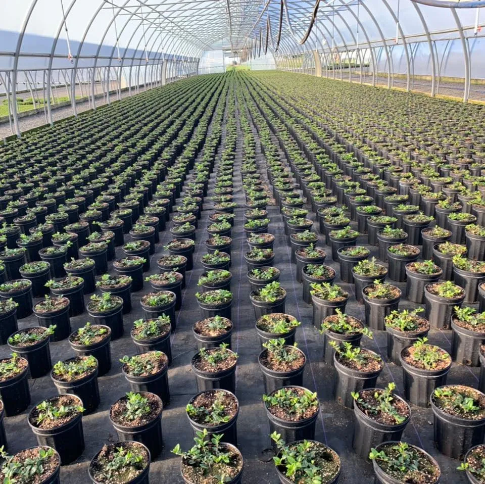 Expert outdoor landscaping for residential properties across Vineland, NJ - Arv Landscaping