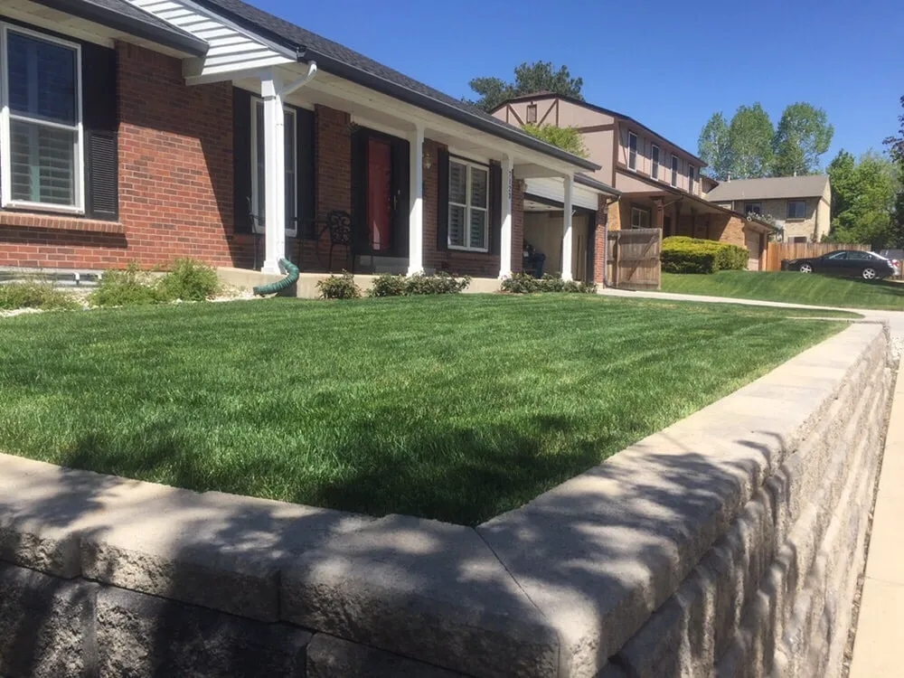 Trusted yard cleanup service with custom design in Arvada, CO by Arvada Lawn & Snow Services