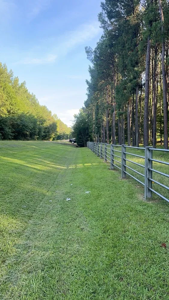 Top-rated yard cleanup service for residential properties in Kosciusko, MS by Arvizu Landscaping