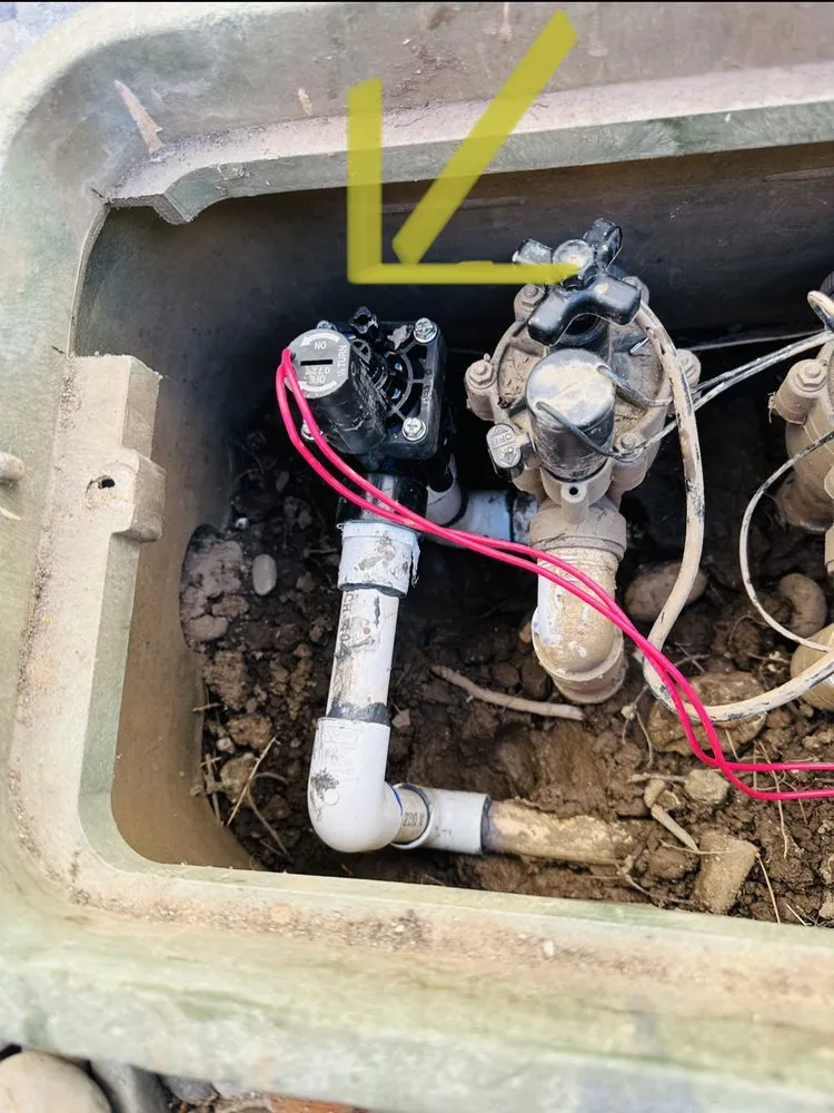 Professional lawn care service with custom design across San Jose, CA - Arvizu Leaks Landscaping