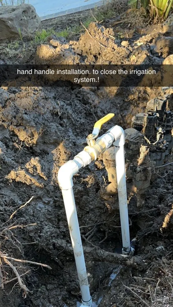 Trusted yard cleanup service experts serving San Jose, CA - Arvizu Leaks Landscaping