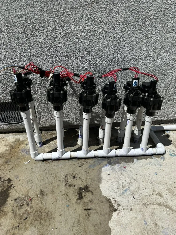 Reliable yard cleanup service in San Jose, CA - Arvizu Leaks Landscaping