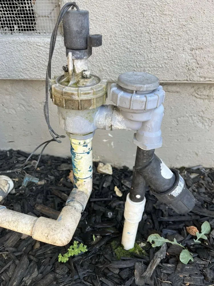 Top-rated yard maintenance for residential properties in San Jose, CA by Arvizu Leaks Landscaping