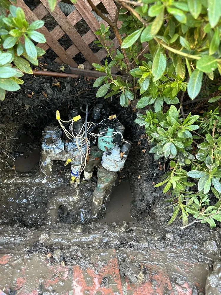 Custom yard maintenance in San Jose, CA by Arvizu Leaks Landscaping