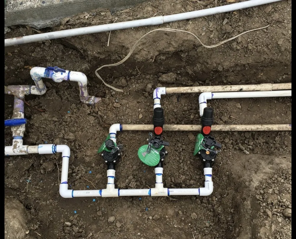 Professional lawn care service for year-round maintenance in San Jose, CA by Arvizu Leaks Landscaping