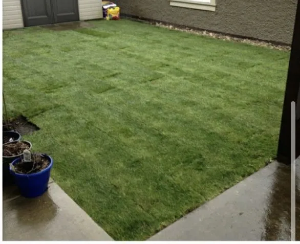 Local garden landscaping for residential properties in San Jose, CA by Arvizu Leaks Landscaping